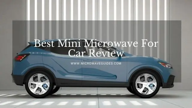Mini Microwave For Car