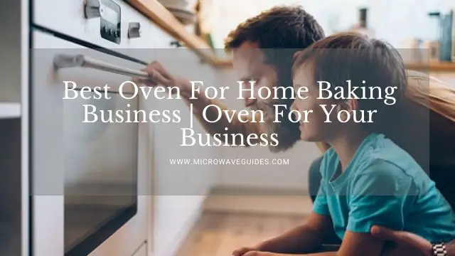 Best Oven For Home Baking Business